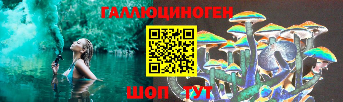 Галлюциногенные грибы прущие грибы  Вход с VPN  Апатиты 